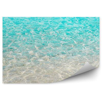 Fototapeta Plážové duny nebe oceán rostliny Severní Karolína