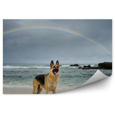 Samolepící fototapeta Duha Amsterdam řeka obloha mraky stromy