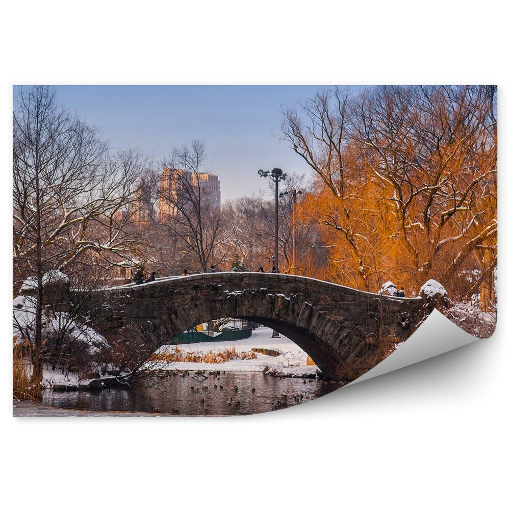 Fototapeta na zeď Central Park most kachny stromy mrakodrapy New York zima sníh