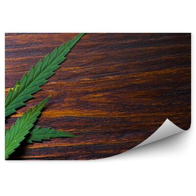 Fototapeta na zeď Konopné listy na dřevěné podlaze