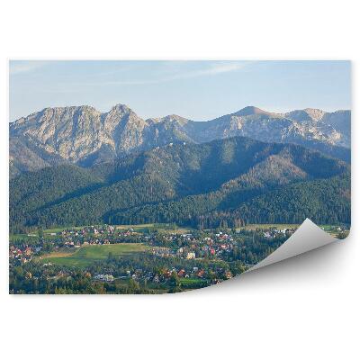 Fototapeta na zeď Pohled na Tatry stromy příroda domy