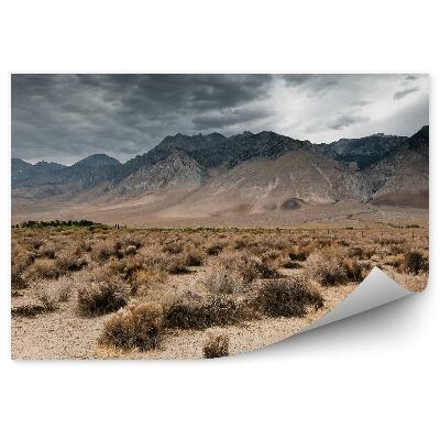 Samolepící fototapeta Sépiový větrný mlýn mraky obloha příroda