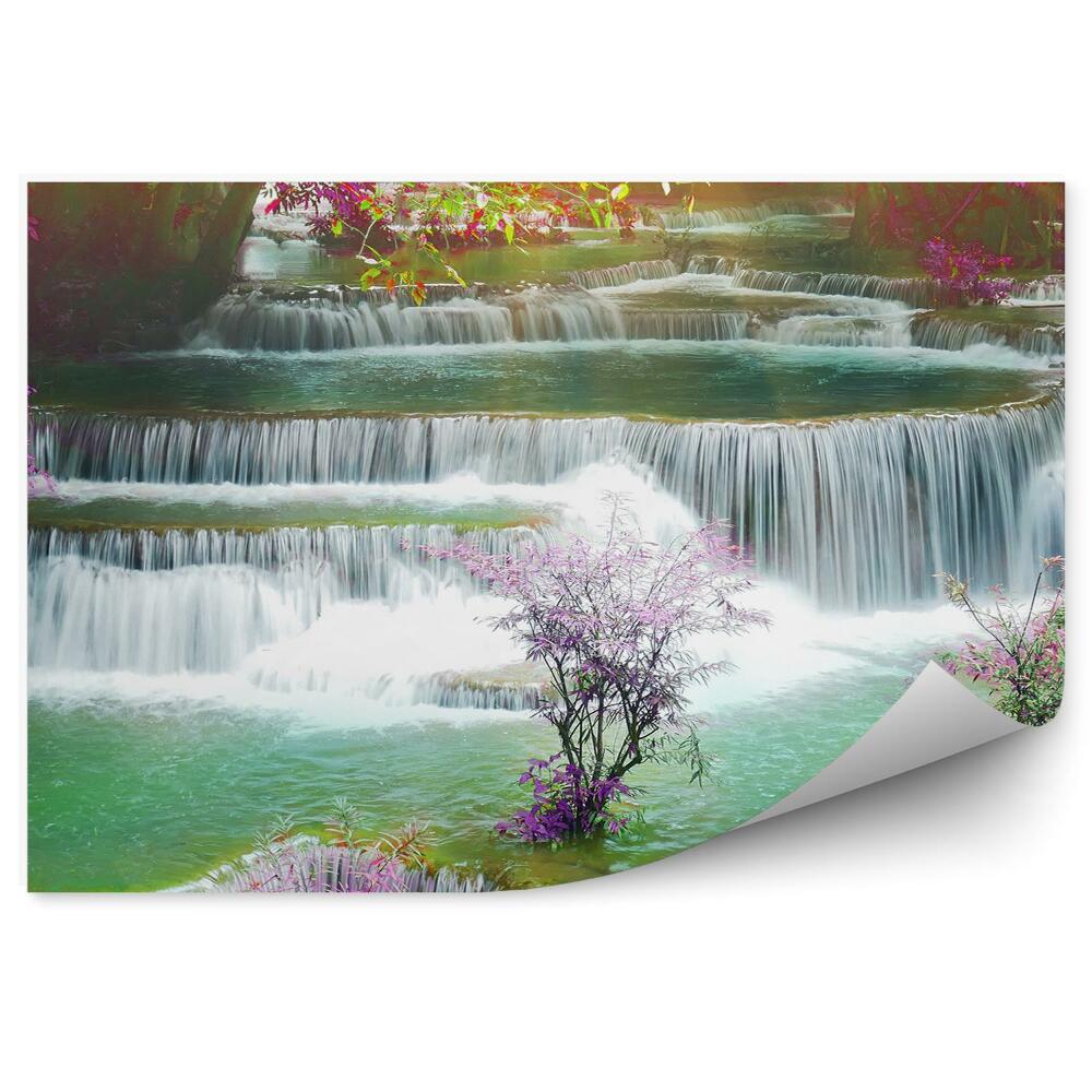 Fototapeta Kameny vodopád rostlin barvy