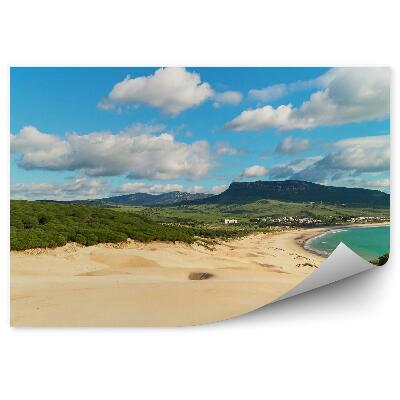 Samolepící fototapeta Stromy poušť obloha mraky