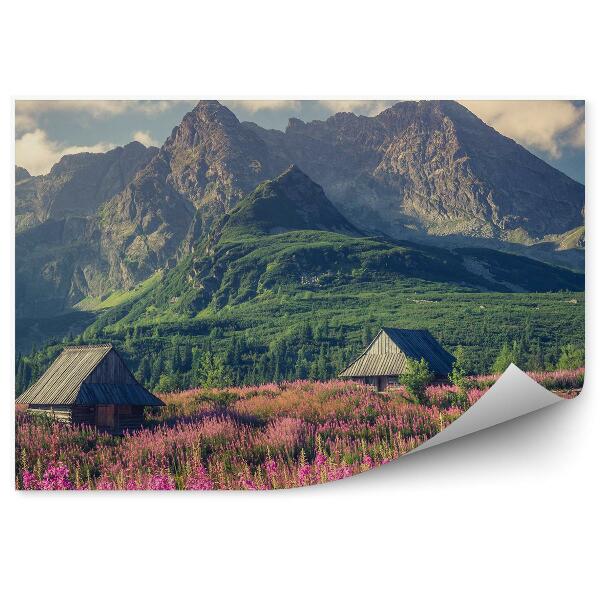 Fototapeta Tatry chaty stromy květiny rostliny obloha mraky