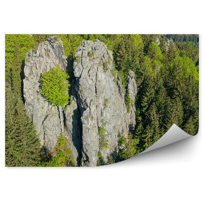 Fototapeta na zeď Vánoční stromy les skály krajina sudety