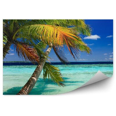 Fototapeta Palmy vlny voda ostrov exotika