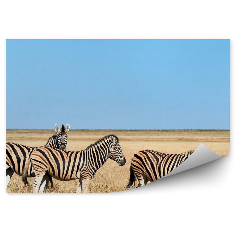 Samolepící fototapeta Zebry savana africká obloha