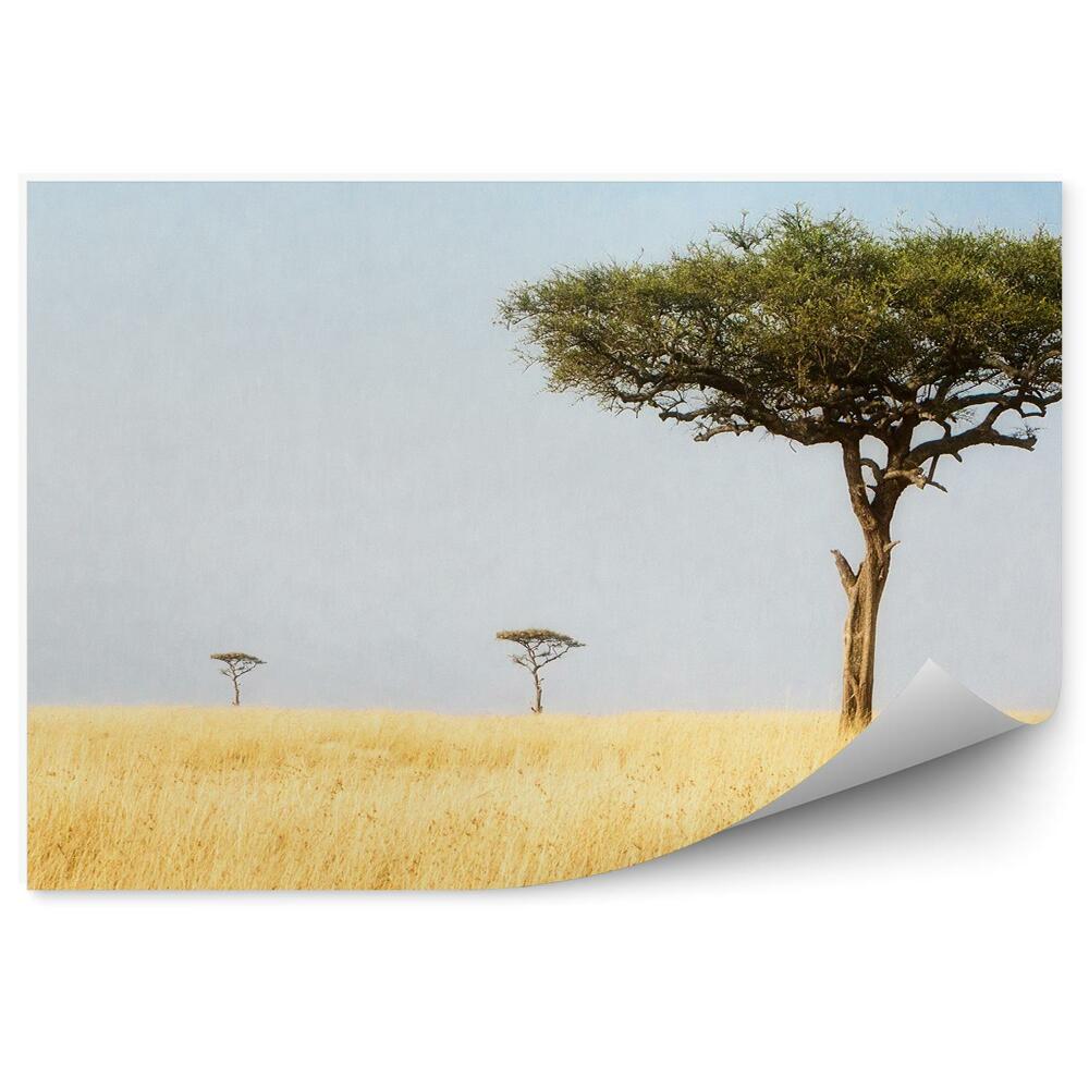 Samolepící fototapeta Krajina stromy příroda Afrika