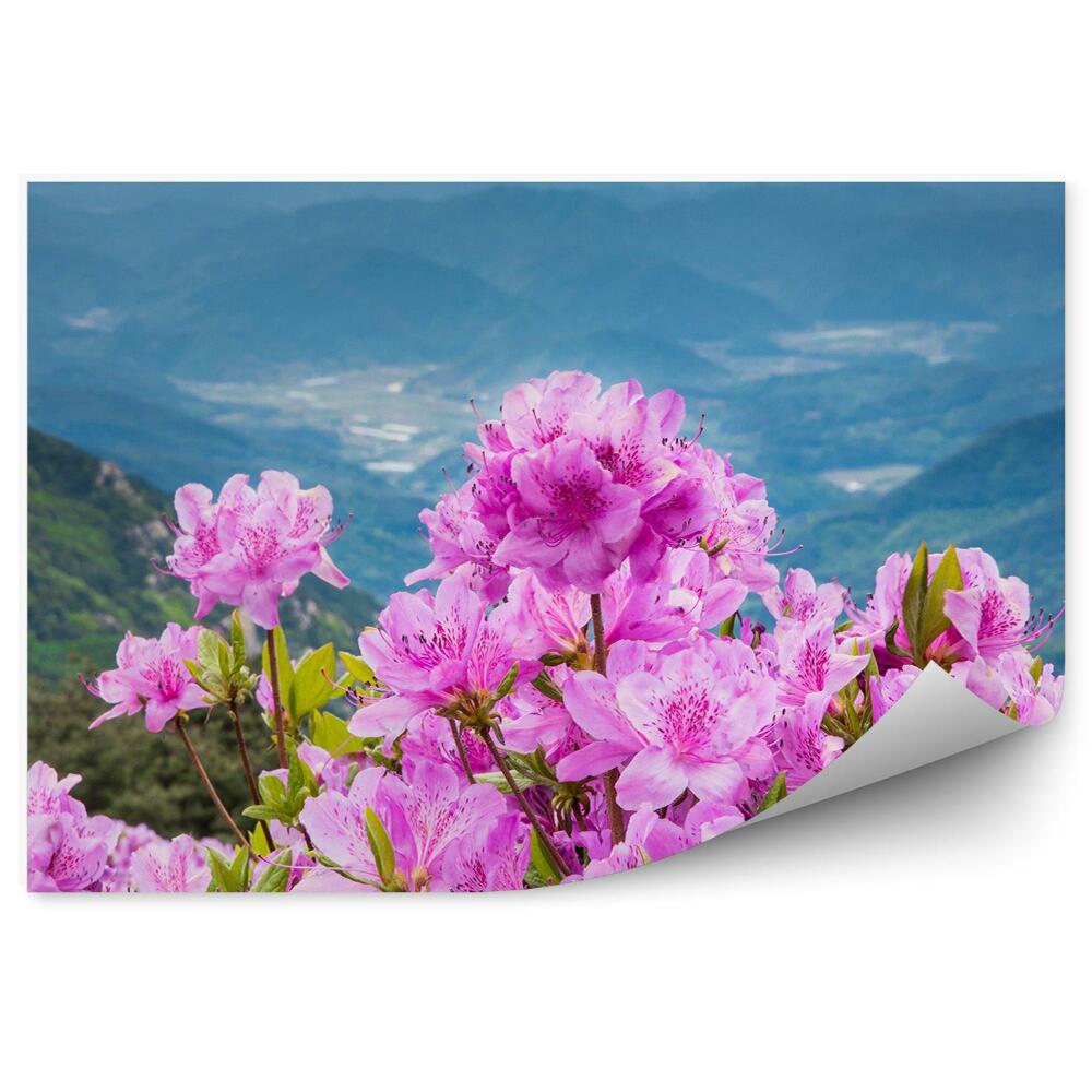 Samolepící fototapeta Rhododendron květina na pozadí horské krajiny