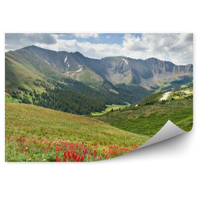 Samolepící fototapeta Alpy luční květiny zelená vegetace