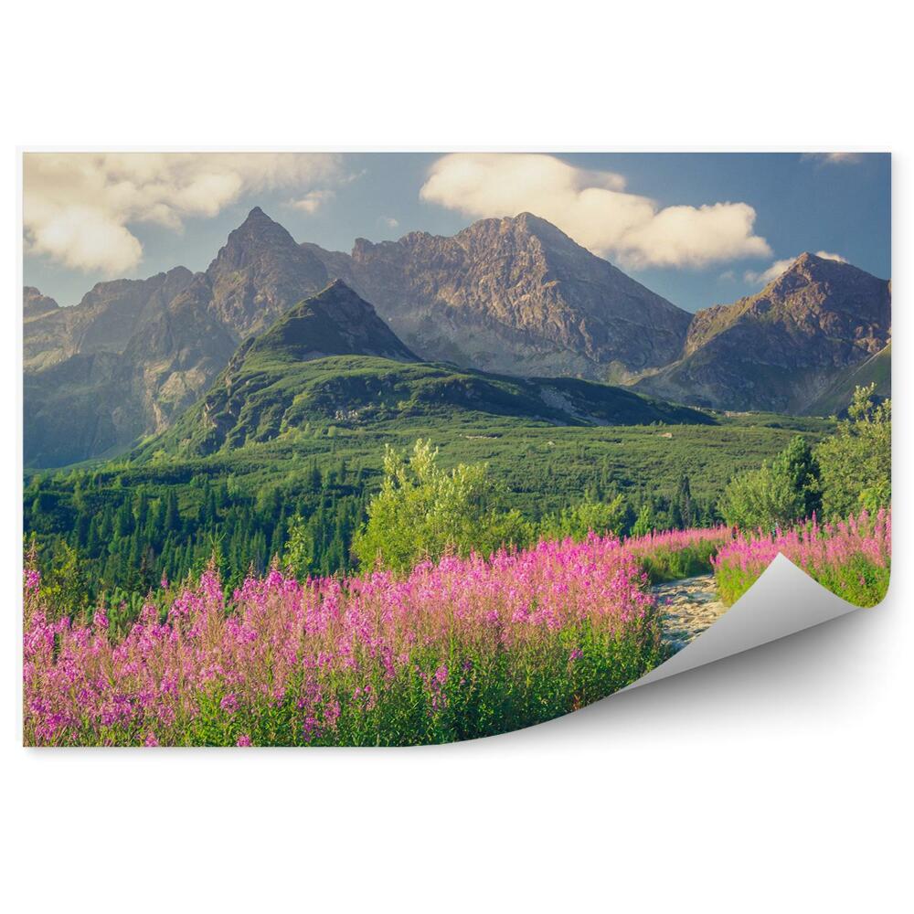 Samolepící fototapeta Tatry Zakopané hory zelené jehličnaté stromy krokusy květiny sníh