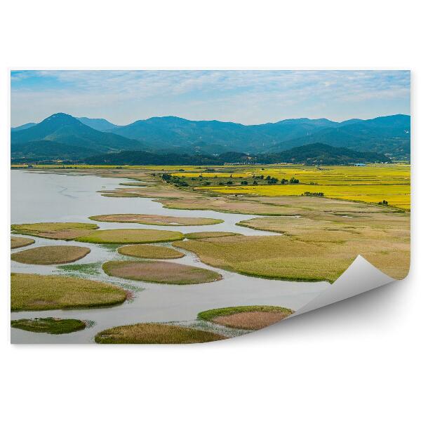 Fototapeta na zeď Suncheon Man Bay příroda krajina