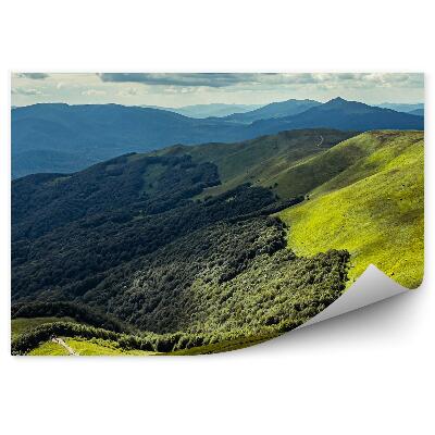 Samolepící fototapeta Lesní stromy hory zelená příroda