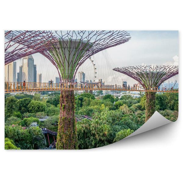 Fototapeta Singapur rostliny architektura parku