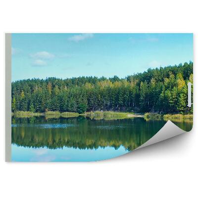 Fototapeta na zeď Lesní stromy zelené letní jezero otevřené okno