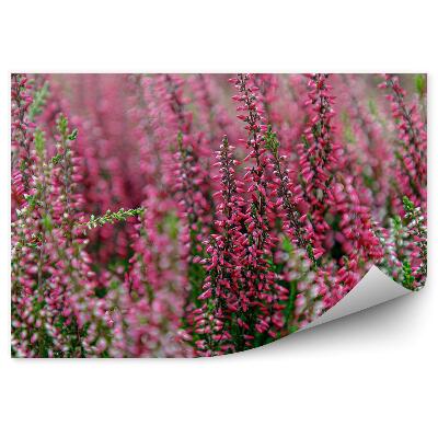 Fototapeta na zeď Větvičky vřesu