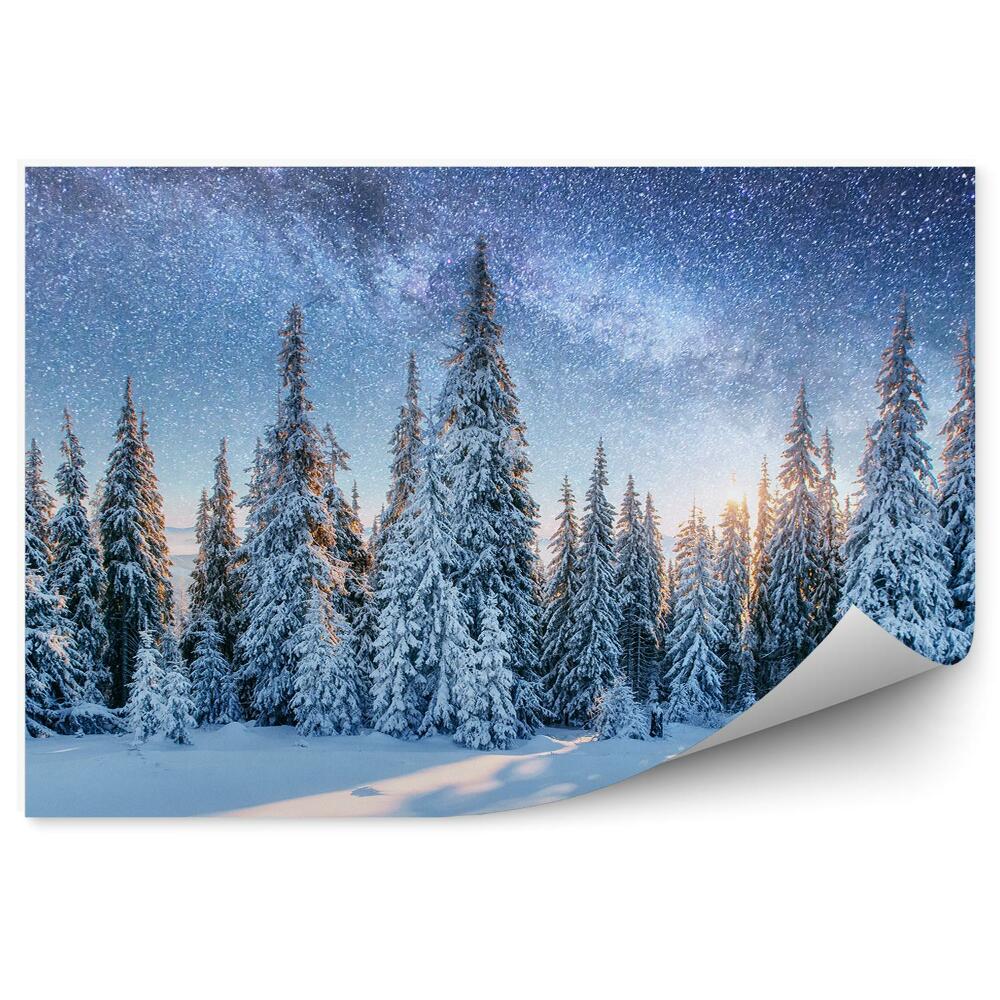 Fototapeta na zeď Zimní lesní obloha hvězdy