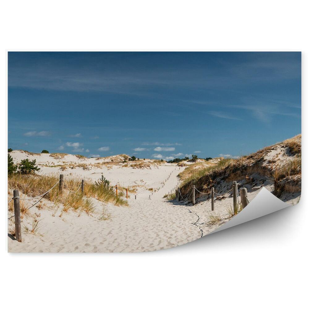 Fototapeta na zeď Cesta písek travnaté sloupky