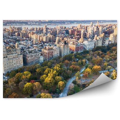 Samolepící tapeta Mrakodrapy silnice les stromy řeka New York