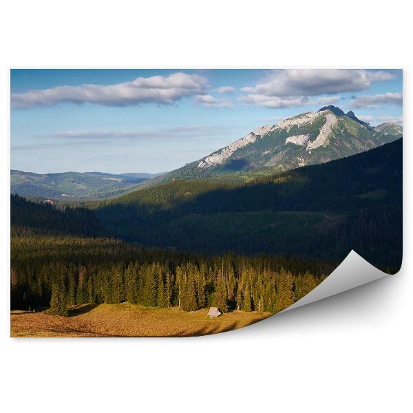 Fototapeta Rusinowa Polana hory stín stromy nebe mraky Tatry