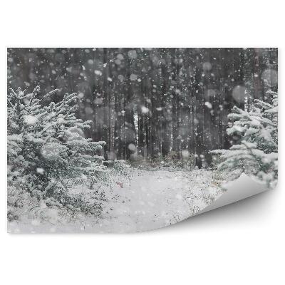 Samolepící fototapeta Zimní les