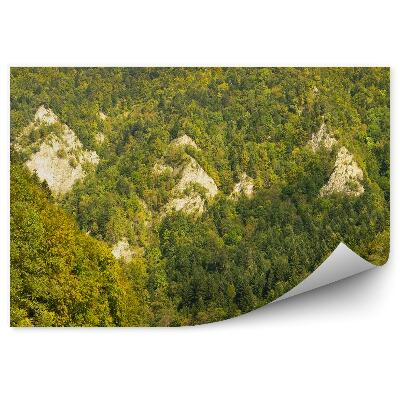 Fototapeta na zeď Splavování Dunajce Pieniny Pieniny