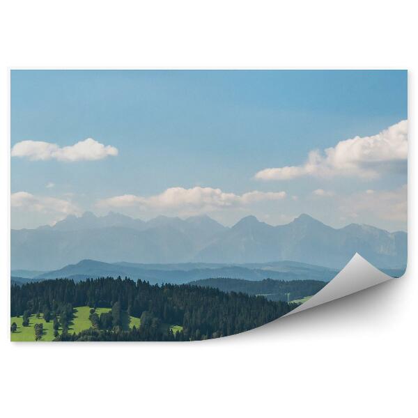 Fototapeta Pohled na Tatry Pieniny horské panorama