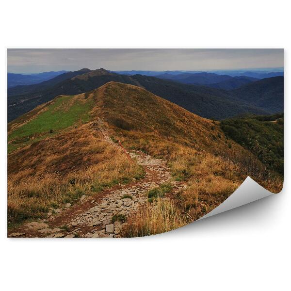 Fototapeta Bieszczady horská stezka lesy stromy