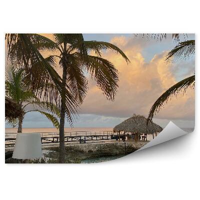 Fototapeta na zeď Zatažená obloha palmy příroda kavárna u moře