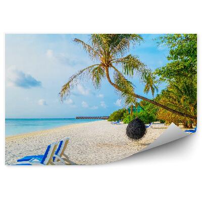 Fototapeta na zeď Plážová lehátka léto palmy modrá voda
