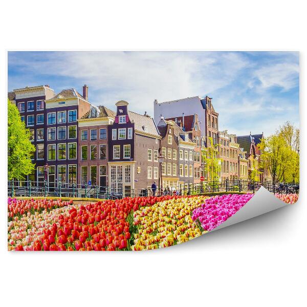 Samolepící fototapeta Tulipán pole stromy Amsterdam city Nizozemsko