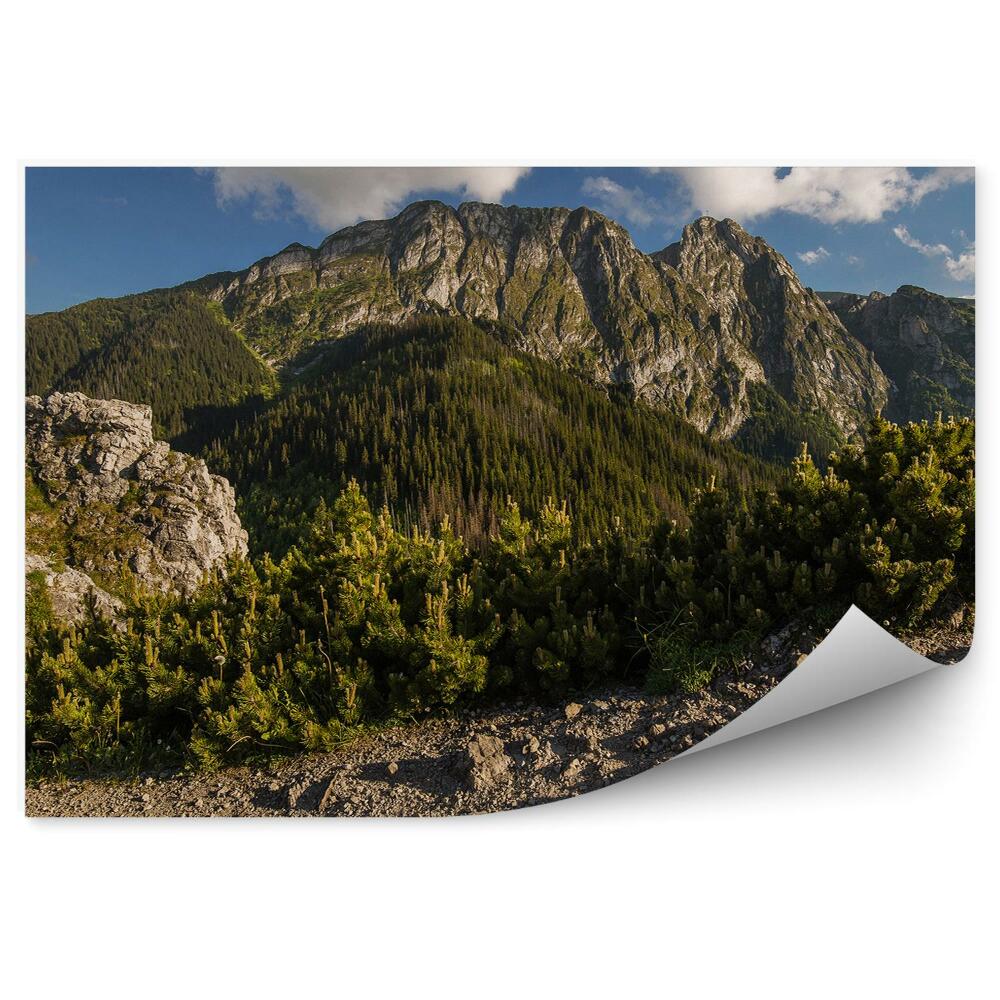 Fototapeta na zeď Giewont Tatry jehličnaté stromy skály nebe mraky