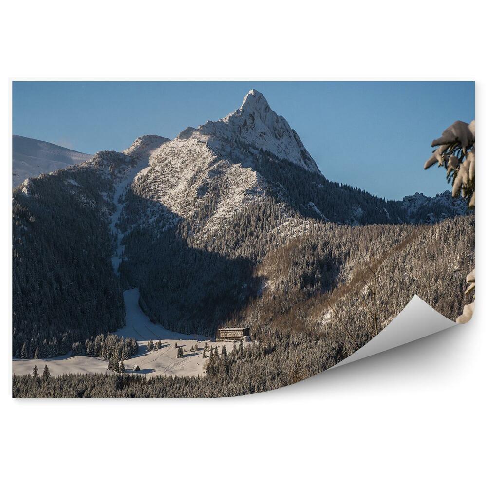 Fototapeta Giewont Tatry jehličnaté stromy zima sníh