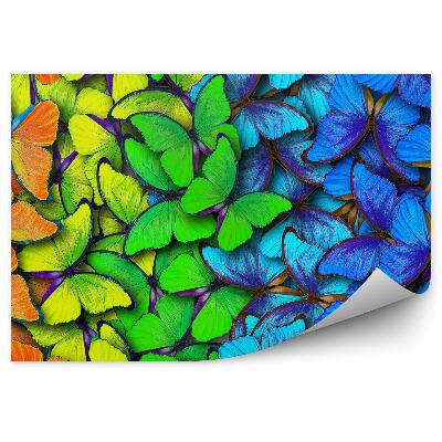 Samolepící fototapeta Žirafí hlava brýle obloha mraky duha