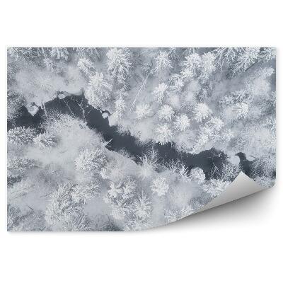 Samolepící fototapeta Zimní les pohled na řeku