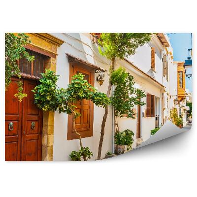 Fototapeta na zeď Ulice rostliny bílá Řecko