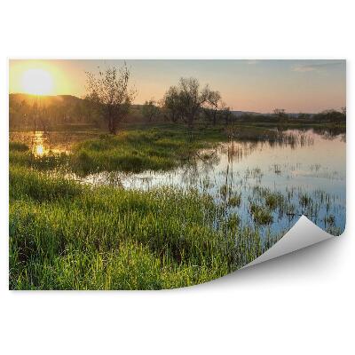 Fototapeta Rybník stromy rostliny trávy západ slunce obloha mraky