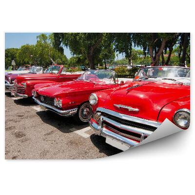 Samolepící fototapeta Klasické americké automobily