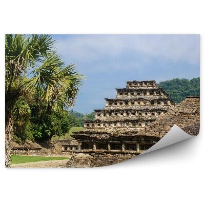 Fototapeta Ruiny architektura palmy příroda město