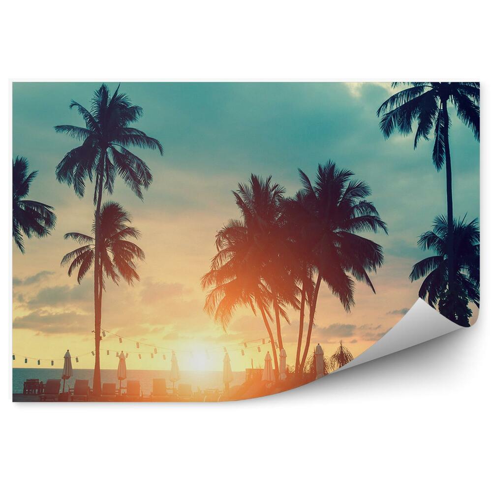 Fototapeta Sunshine tropické pláže palmy