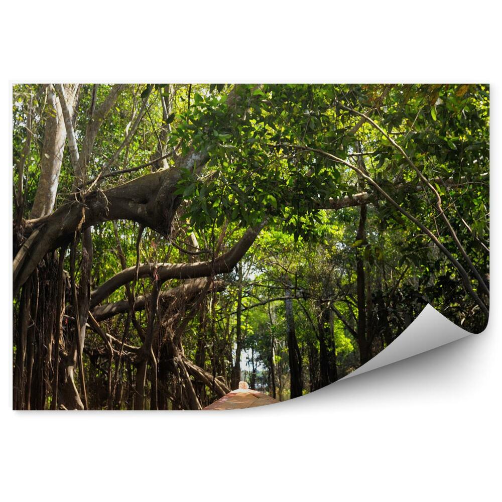 Fototapeta na zeď Amazonská džungle loď stromy voda