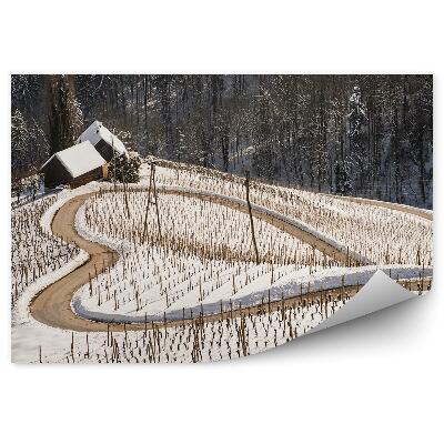 Fototapeta Zimní sníh silnice tvar srdce příroda