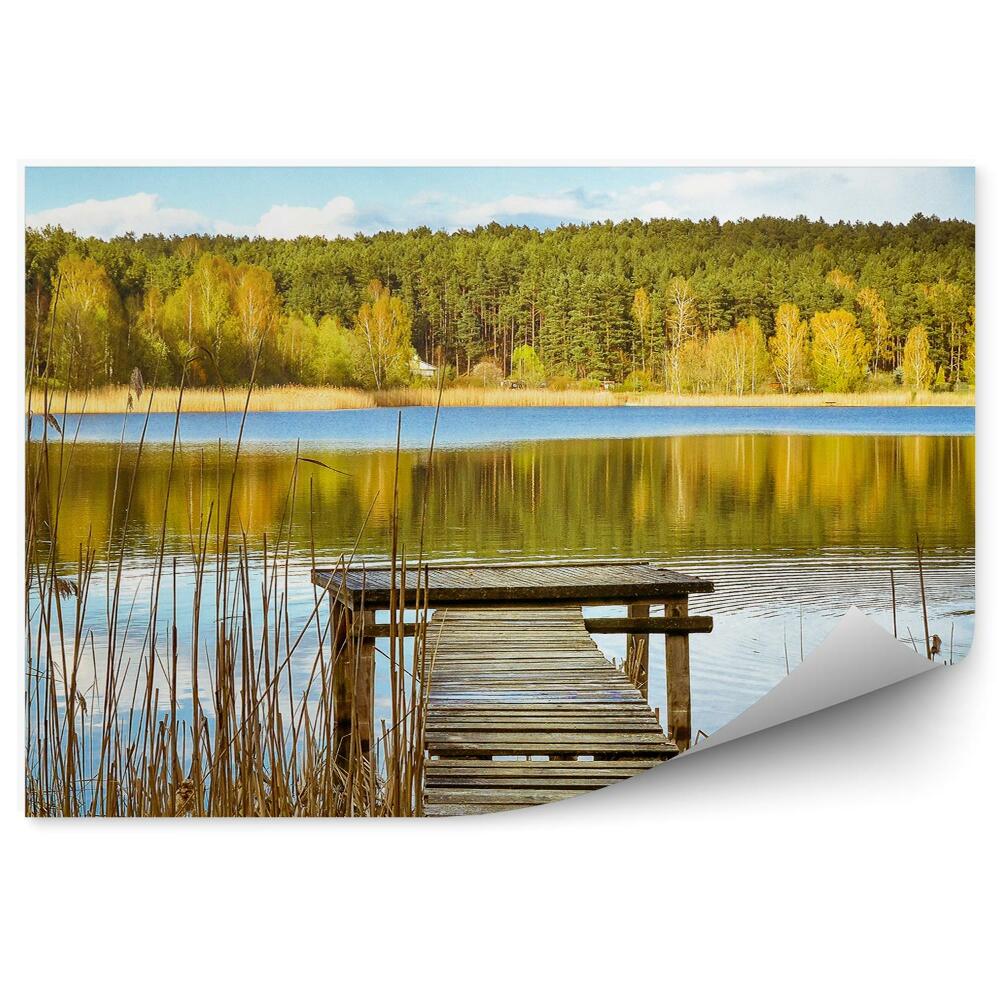 Fototapeta Mazurské jezero Plyšové lodě stromy rostliny