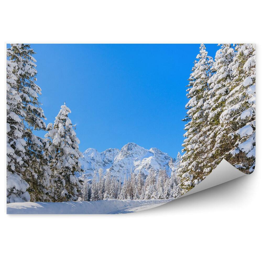 Fototapeta na zeď Zimní Horská Krajina