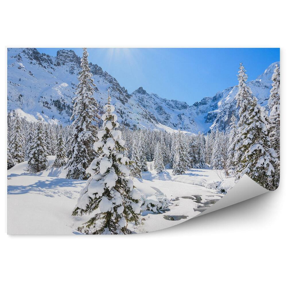 Samolepící fototapeta Zimní krajina les Morskie Oko