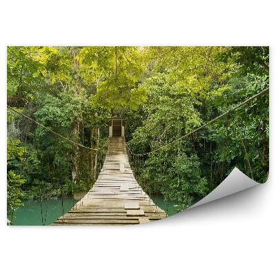 Fototapeta na zeď Dřevěná prkna most lano vegetace příroda