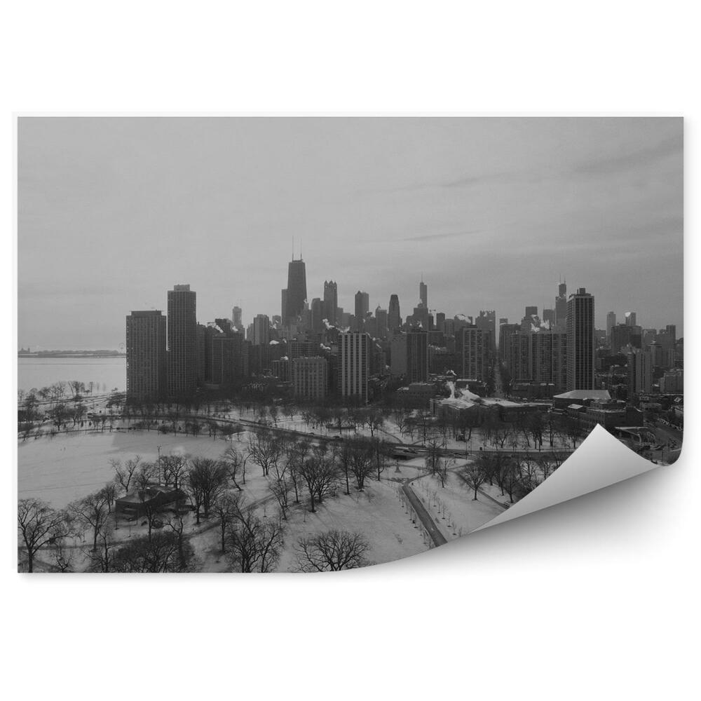 Fototapeta na zeď Mrakodrapy světla stromy budovy nebe mraky Chicago