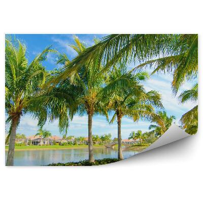 Fototapeta na zeď Palmy jezero domy mosty rostliny