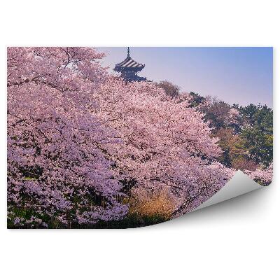 Fototapeta na zeď Třešňový květ loď vegetace stromy